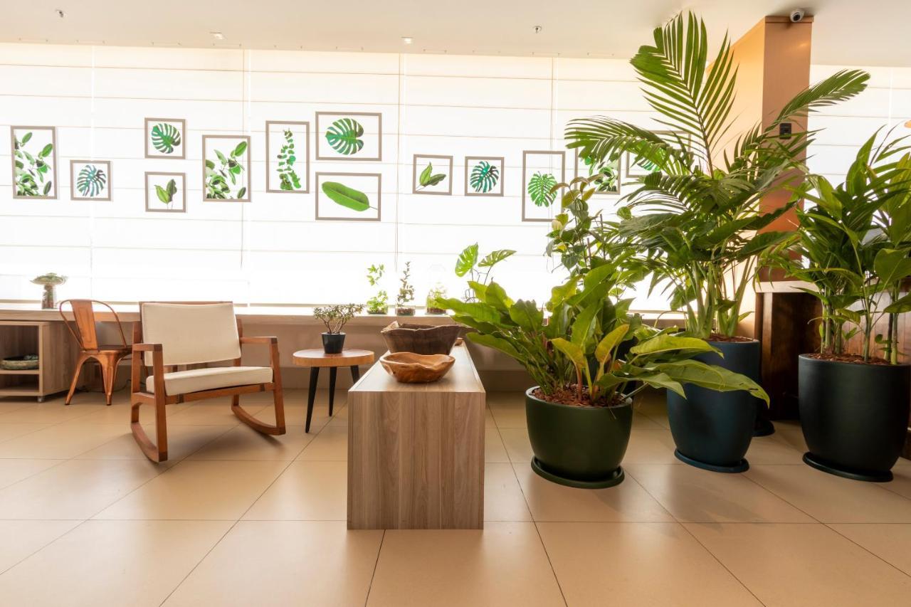 Ibis Styles Curitiba Aeroporto Hotel Sao Jose dos Pinhais