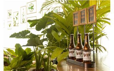 Hotel Ibis Styles Curitiba Aeroporto