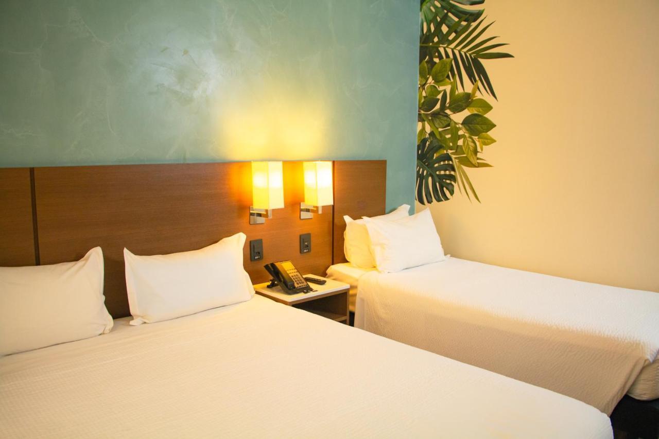 Hotel Ibis Styles Curitiba Aeroporto